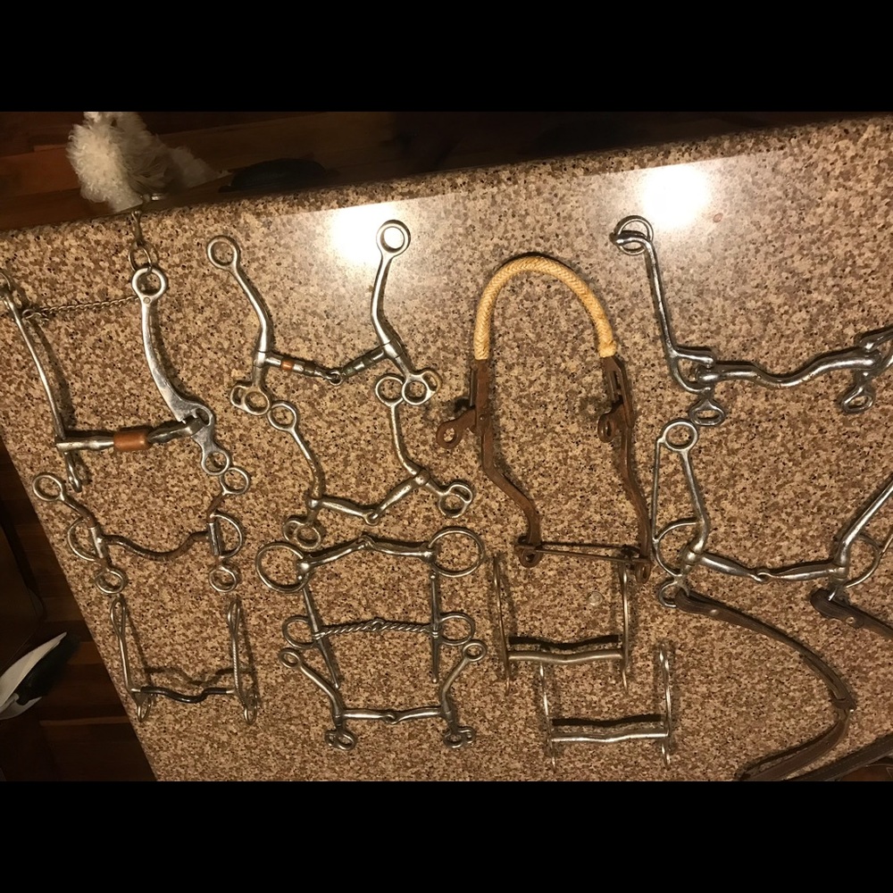 Horse bits